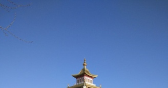 Фото Удивительное рядом №15